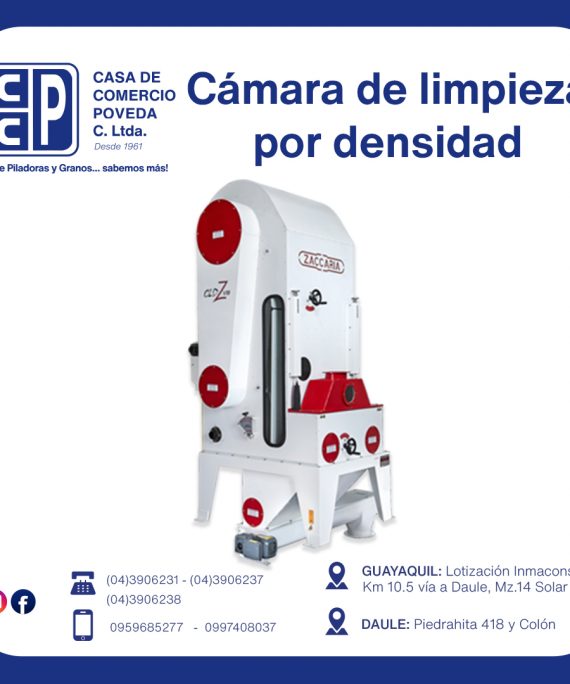 CLDZ-1/CF
