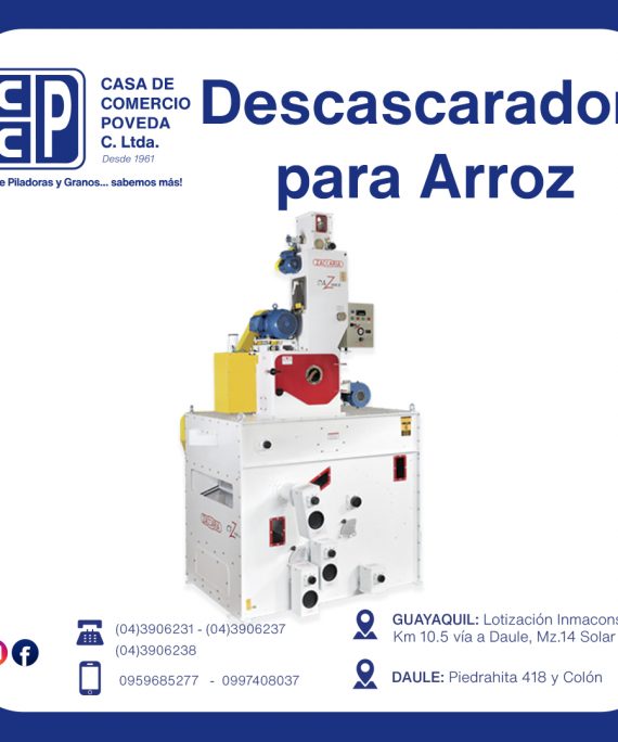 DAZ/CFR-6000 SI R10