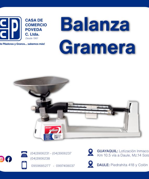 Balanza Gramera para laboratorio