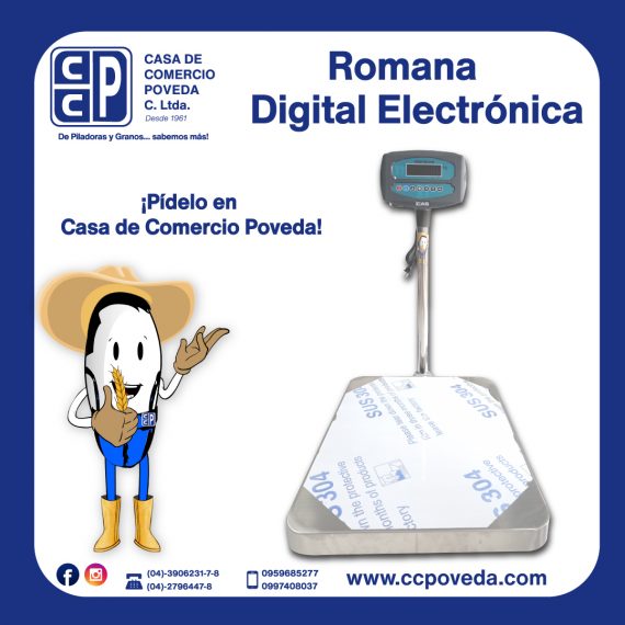 Romana Digital Electrónica