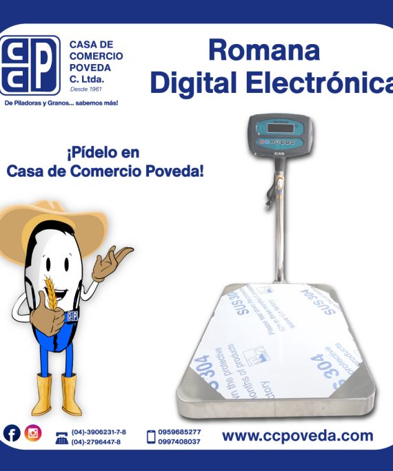 Romana Digital Electrónica