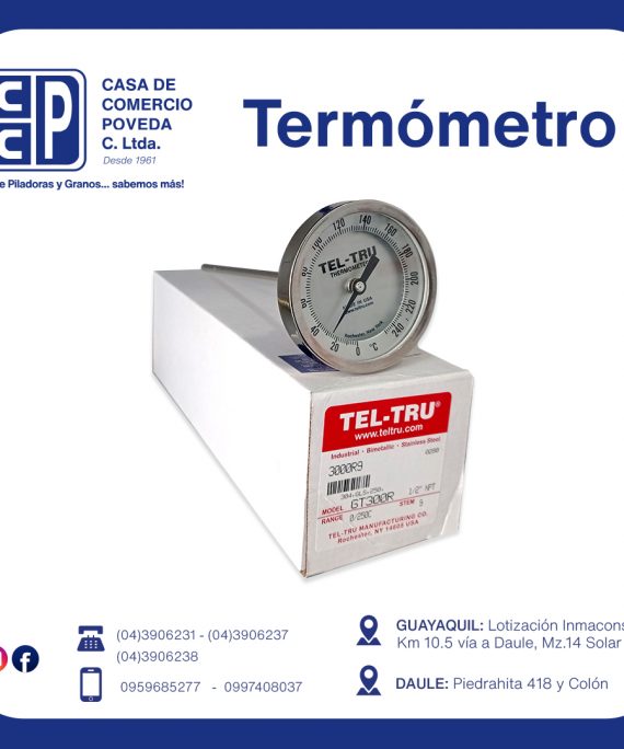 Termómetro