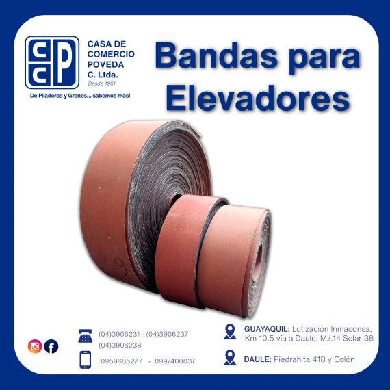 Bandas