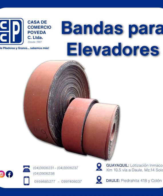 Bandas