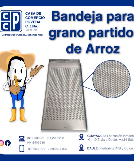 Bandejas de para Arroz